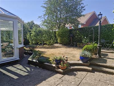 Picture 20